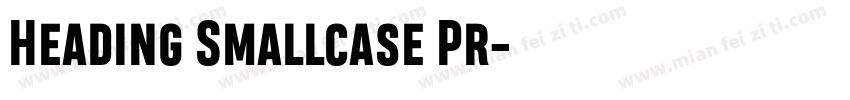 Heading Smallcase Pr字体转换